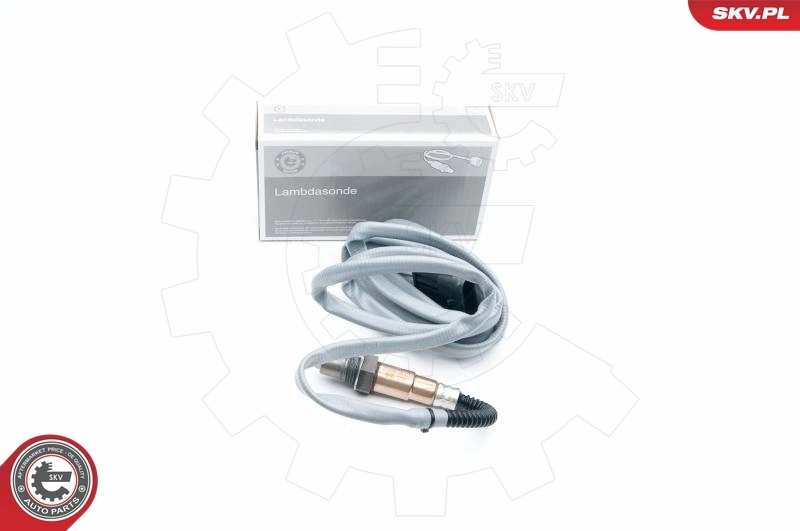 Oxygen Sensor